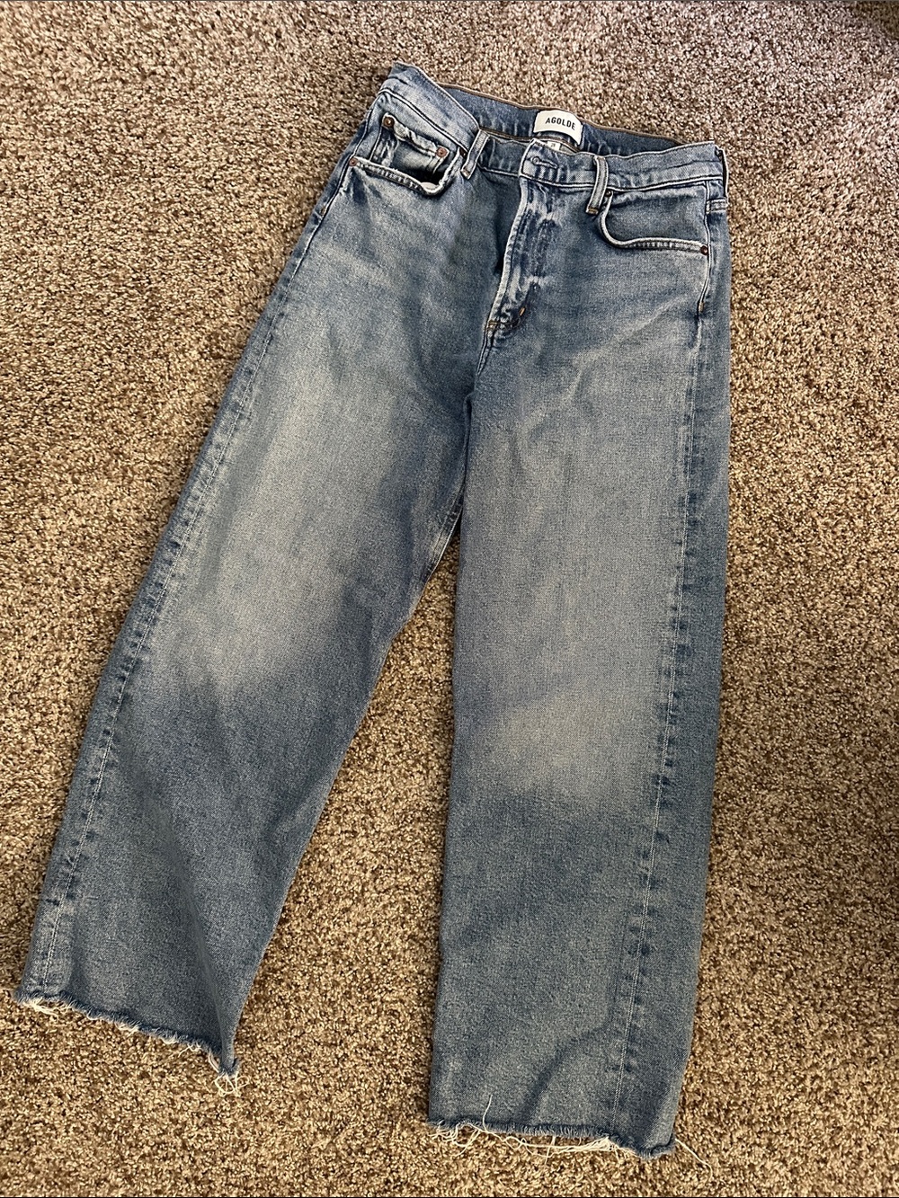 Agolde Ren High Rise Wide Leg